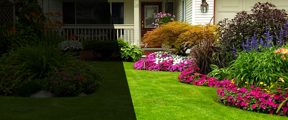 Capistrano Beach Landscapers