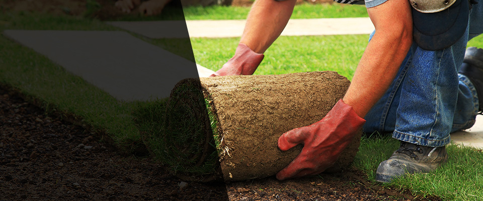 Capistrano Beach Landscapers